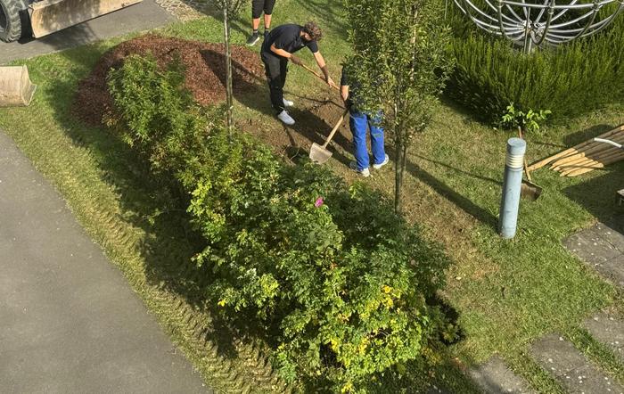 Innerhalb eines Halbtags wurde aus einer ungenutzten Grünfläche auf dem Gelände der HTL für Mechatronik in Arnfels ein Park mit Mehrwert 