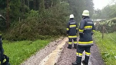 In Fischering sind Bäume umgestürzt