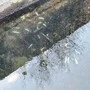 So stellte sich die Situiation dar: zahlreiche tote Fische am Grund des Bachs – jetzt gibt es einen Verdächtigen für die tödliche Verschmutzung
