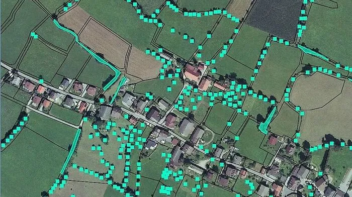 Ein punktförmiges Landschaftselement ist ein Baum, ein flächenförmiges zum Beispiel eine Hecke