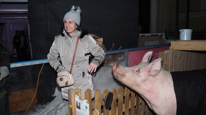 Auf dem Klagenfurter Pfarrplatz ging am Freitag, den 30. Dezember schon der Bauernsilvester über die Bühne. Sozusagen zum Aufwärmen für den 31. Schwein "Schnitzel" war eine der Attraktionen auf dem Pfarrplatz. Der glückliche zweijährige kastrierte Eber ist Tierschützern in die Hände geraten. Die Vegetarier werden ihn bis zu seinem natürlichen Lebensende hegen und pflegen.
