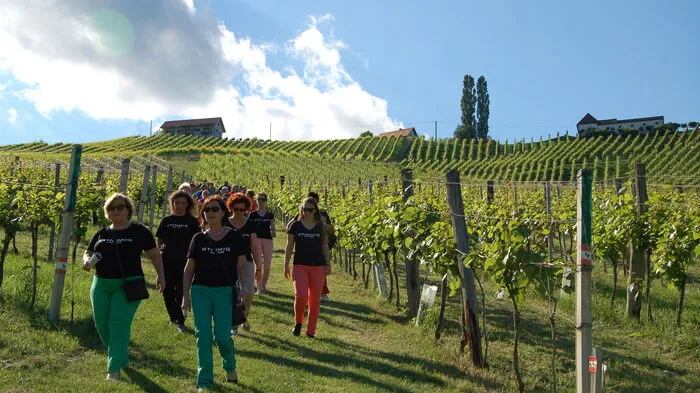 Sie hat schon Tradition, die Weinblütenwanderung in und um Gamlitz.