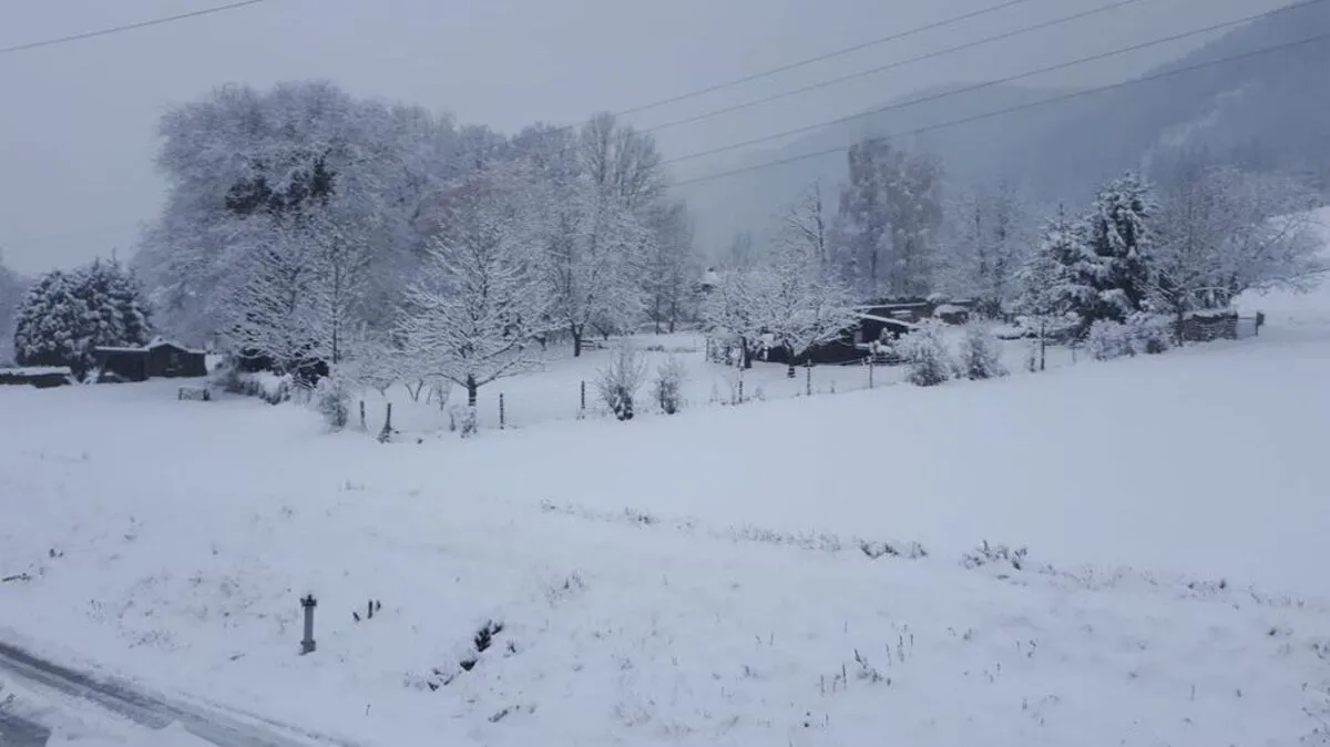Winter im Mürztal
