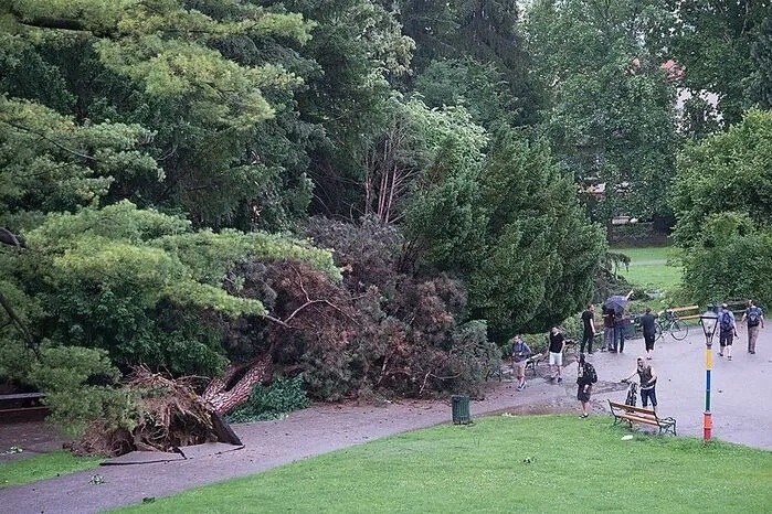 Tragisch: Im Stadtpark in der Nähe des Brunnens ...