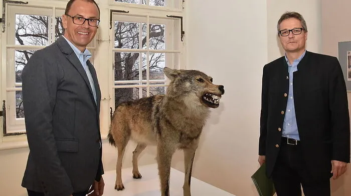 Joanneum-Direktor Wolfgang Muchitsch (links) und Kurator Karlheinz Wirnsberger mit dem im Jahr 1921 erlegten Mürztaler Bauernschreck