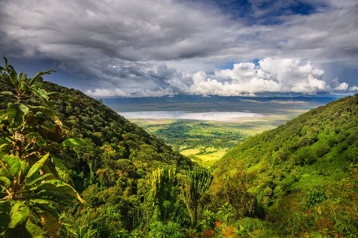Wer von der einmaligen Tierwelt Tansanias nicht genug kriegen kann, sollte dem Ngorongoro-Krater, ein Unesco-Weltkulturerbe, einen Besuch abstatten. Für die gewisse Portion Entspannung bietet sich ein Flug auf die Insel Sansibar an. Dort warten nicht nur schöne Strandresorts, sondern auch diverse Gewürzplantagen darauf, entdeckt zu werden.