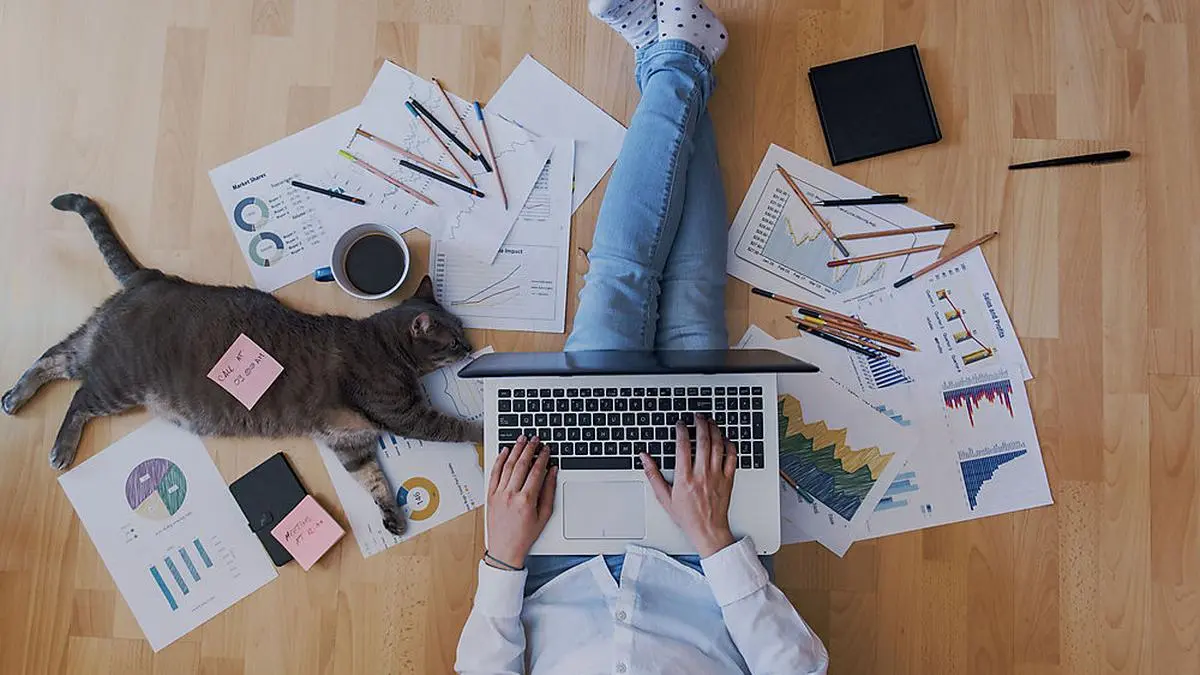 creative home work space - work from home concept - girl with cat