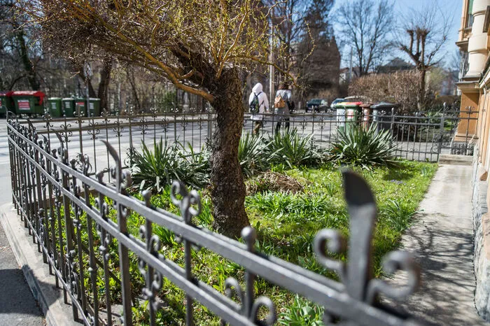 Im Herz-Jesu-Viertel findet man mit die schönsten Vorgärten der Stadt.