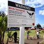 Elstern, die ihr Revier verteidigen, bereiten den Rad-Stars in Wollongong Sorgen