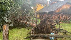Umgestürzter Baum in St. Georgen am Kreischberg