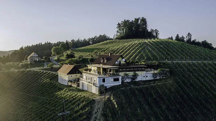 28. November: Südsteirer sucht Käufer für sein Weingut Mangels Nachfolger will Alois Marko sein Weingut in Leutschach via Internet an den Mann bringen. Den neuen Besitzer würde er einschulen. Kaufpreis: 1,35 Millionen Euro. Mehr dazu.