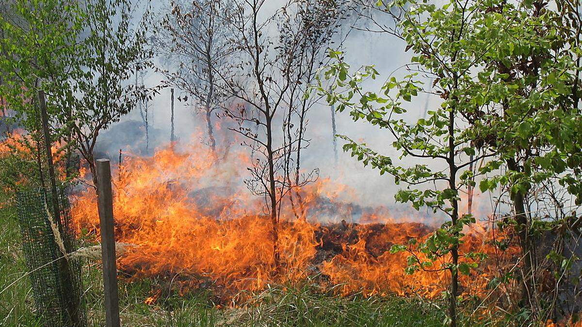 Die Gefahr von Wald- und Wiesenbränden steigt