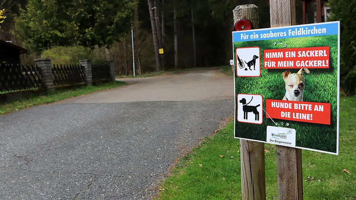 Anrainer vom Aichweg beschweren sich über Hundekot und nicht sachgemäße Entsorgung