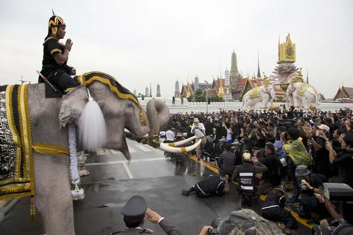 Um weiße Elefant wurde in Südostasien sogar schon Krieg geführt.Und sie machen bis heute Schlagzeilen - auch politische.