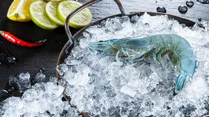 Sie sind exotisch, schön gefärbt und vor allem sind sie köstlich. Die Garnelen aus dem Paltental sorgen nicht nur unter Spitzenköchen für Aufsehen