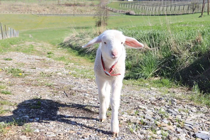 Klicken Sie sich durch die weiteren Bilder!