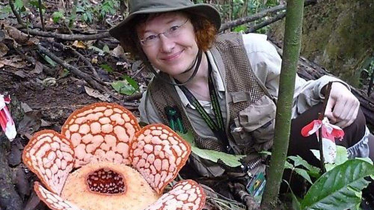 Ille C. Gebeshuber mit einer der riesigen Rafflesia-Pflanzen im Dschungel von Malaysia