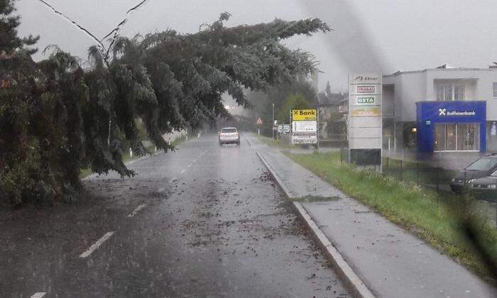 Bäume stürzten während dem Unwetter auf die Straße. 