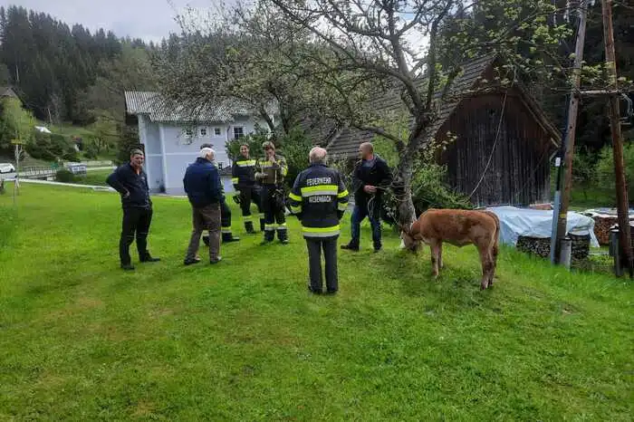 Unterstützung bei der Suche bekam er von zwölf Kameradinnen und Kameraden der Feuerwehr Miesenbach sowie von drei zivilen Personen.