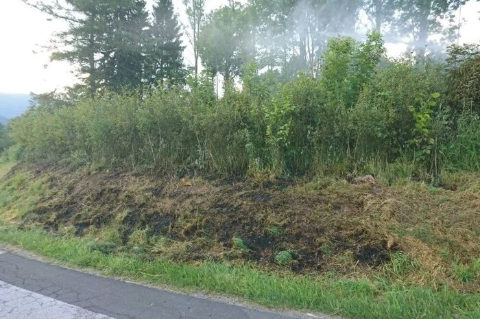 Eine Böschung hatte auf einer Fläche von rund 500 Quadratmetern aus unbekannter Ursache Feuer gefangen.