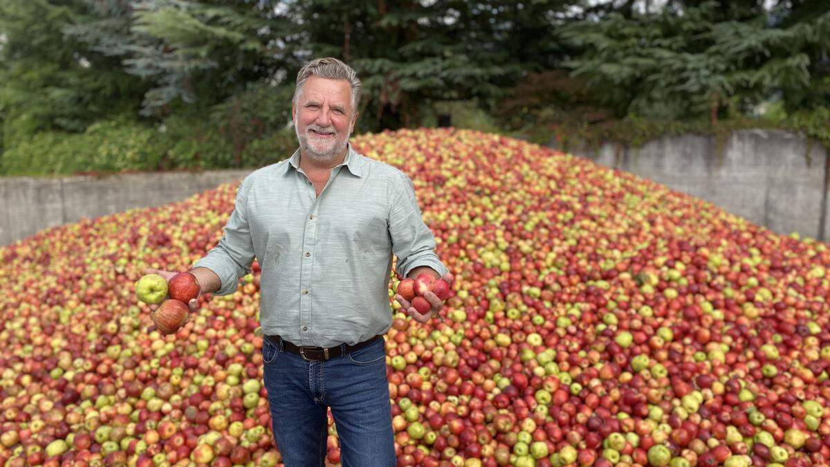 &quot;Lavanttaler Obst&quot; -Betriebsleiter Berthold Radl freut sich über zahlreiche Äpfel 