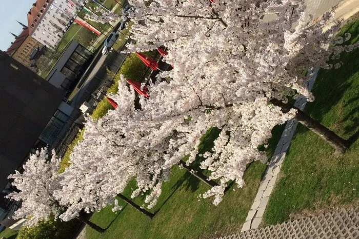 "Wunder der Natur": So Hermine Zuber aus Zeltweg über ihre Fotos, die im Asia Spa Leoben entstanden sind.