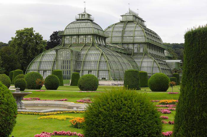 Kaiserliches Glashaus mit exotischem Inhalt in Wien: das Palmenhaus von Schönbrunn