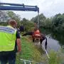 Das Pferd musste mit einem Kran aus dem Werkskanal gehoben werden | Das Pferd musste mit einem Kran aus dem Werkskanal gehoben werden