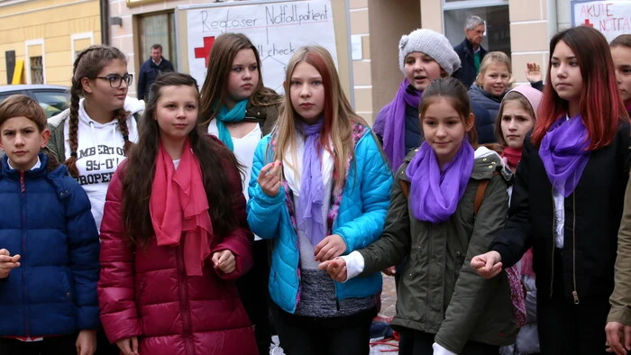 Heute am 11.11. ist nicht nur Faschingsbeginn. Auch die Kärntner Gymnasiasten feiern an diesem Tag den „Tag des Gymnasiums“. 