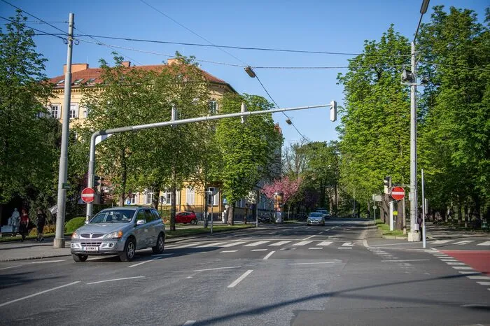 Am Opernring grünen wieder die Bäume: die Kastanienallee durchzieht den Opernring.