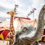 Circus Althoff kommt nach St. Veit