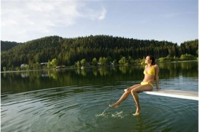 Im Grenzgebiet zwischen dem Mariazeller Land in der Steiermark und Niederösterreich befindet sich der Erlaufsee. Am Südufer des Sees befindet sich ein Kiesbadestrand mit Liegewiese und Wasserrutschen. Im westlichen Teil des Geländes gibt es einen separaten Bereich für Hundebesitzer. Der Eintritt zum See ist frei. Für das Parken entlang der Bundesstraße 71 fallen Gebühren an.