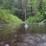 Die Anzahl der Unwetter steigt (Sujet). Die Wildbach- und Lawinenverbauung ist eine Planungs- und Koordinierungsstelle für aktive und passive Schutzmaßnahmen im Bereich Wildbach, Lawinen und Erosion