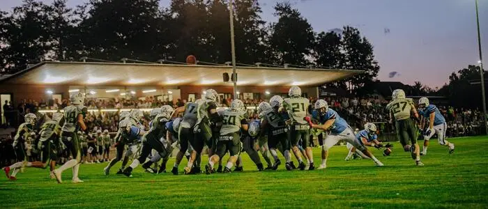 Die Styrian Reavers sind auf der Suche nach neuen Spielern