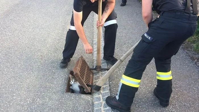Emma wurde aus dem Kanal befreit