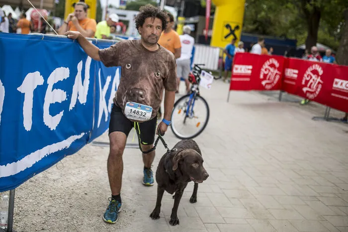Diese Strecke bewältigten 120 Laufteams beim Dogging im Rahmen von Kärnten Läuft