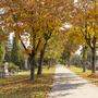 Zwei Gräber am Friedhof Annabichl in Klagenfurt beschäftigten die Staatsanwaltschaft