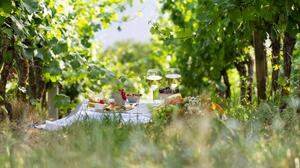 Mitten im Weingarten oder lieber doch auf dem Hochsitz: Picknick im Grünen