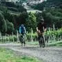 Die „Gravelei“ lockt Radfahrer aus ganz Österreich in die Südsteiermark