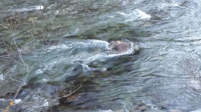 Die Nutzung der Wasserkraft wird in Nordtirol vorangetrieben 