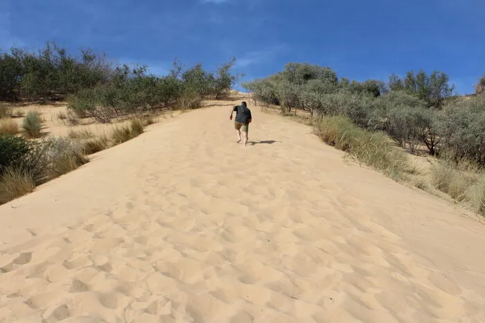 Singende Dünen im Witsand Nature Reserve. Das 3500 Hektar „kleine“ Naturreservat ist bekannt für seine weißen Dünen, die inmitten der roten Kalahari thronen. Und sie „singen“ auch noch: Passen die klimatischen Bedingungen, erzeugt der Sand ein grollendes Donnergeräusch.