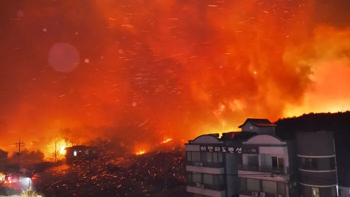 Das Feuer war am Donnerstagabend in der nordöstlichen Provinz Gangwon ausgebrochen.
