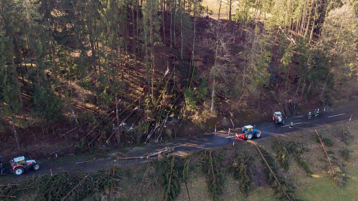 12 bis 14 Millionen Euro Schaden durch Sturm &quot;Sabine&quot;