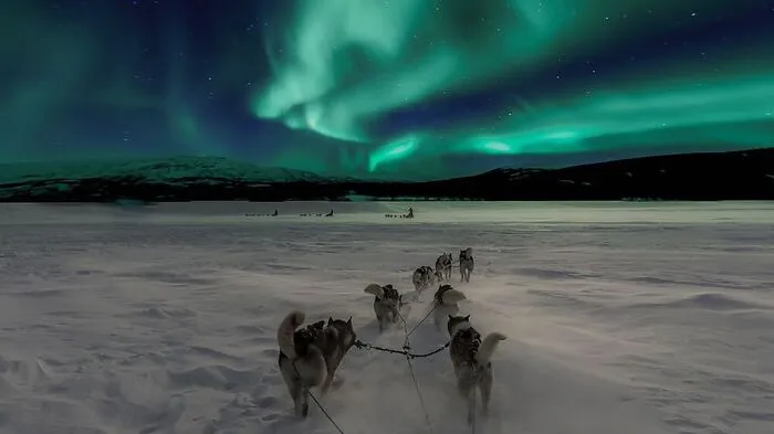 Finnland. Im Winter ist Lappland mit seinen endlos verschneiten Landschaften besonders magisch. Vor der weißen Schneekulisse lohnt sich ein Ausflug mit Schlittenhunden oder eine Rentierschlittenfahrt, bei der Kindheitsträume wahr werden.