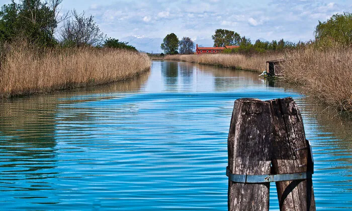 Ausflüge in die Lagune erweisen sich als einzigartiges Naturerlebnis