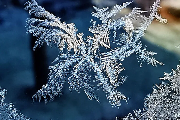 Mit dieser zierlichen Frostgebilde am Fenster begann der Tag unseres Lesereporters