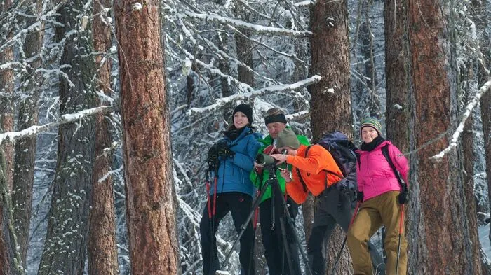 Ranger des Nationalparks Hohe Tauern bieten eine geführte Schneeschuhtour zu den Königen der Alpen, den Steinböcken, im Fleißtal an. Die Tour findet bis 4. April immer dienstags statt. Treffpunkt ist um 9.30 Uhr bei der Mittelstation der Großglockner Bergbahnen. Die Kosten für Erwachsene: 20 Euro. Infos unter (04824) 2700-20