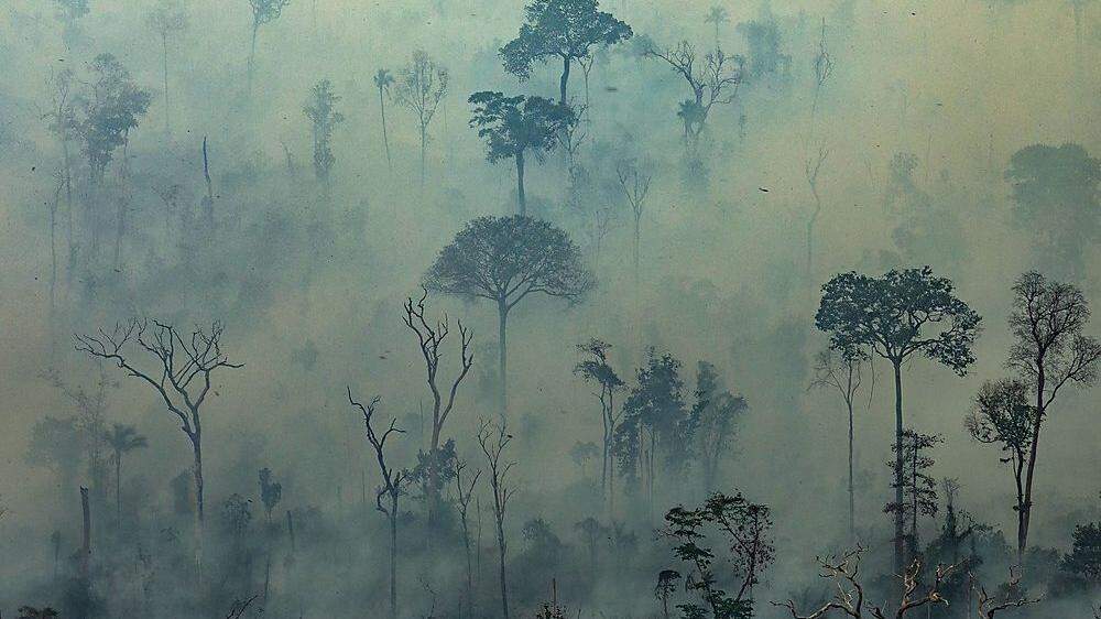 Brasilien lehnt G-7-Soforthilfe im Kampf gegen Waldbrände ab