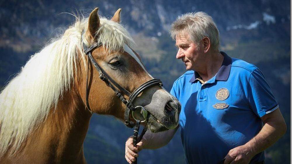 Willi Feuerle verbringt auch im Ruhestand noch viel Zeit mit Pferden - vor allem mit seinen Haflingern