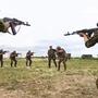 Soldaten in Belarus beim Training